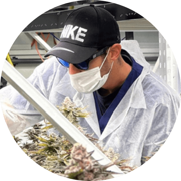 Master Grower - Eyal Furman